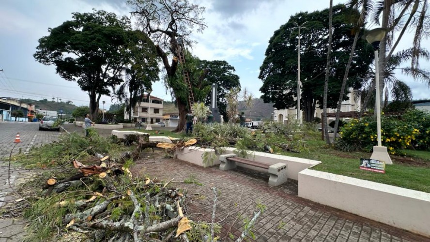 PORTAL REFLORESTAR PORTAL REFLORESTAR