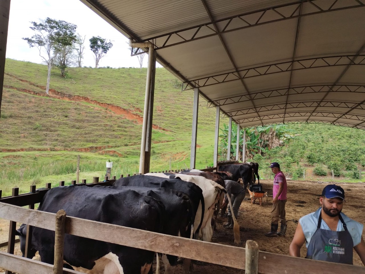 PREFEITURA DE GUAÇUÍ INICIA QUARTA ETAPA DO PROGRAMA MAIS PECUÁRIA BRASIL PREFEITURA DE GUAÇUÍ INICIA QUARTA ETAPA DO PROGRAMA MAIS PECUÁRIA BRASIL
