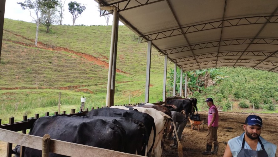 1° AGRO GUAÇUÍ 1° AGRO GUAÇUÍ