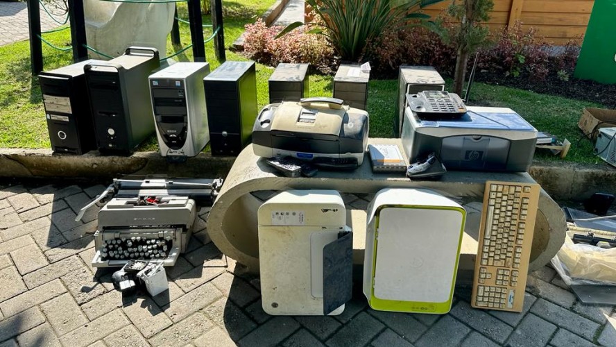 PORTAL REFLORESTAR PORTAL REFLORESTAR