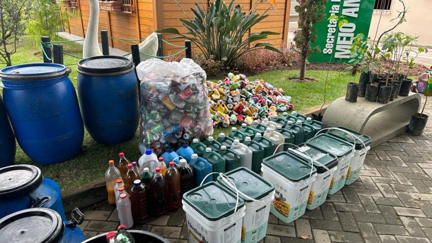 PORTAL REFLORESTAR PORTAL REFLORESTAR