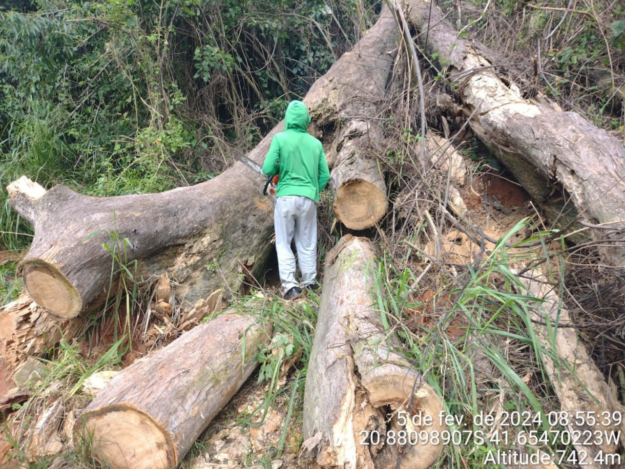 SECRETARIA DE AGRICULTURA AGE RAPIDAMENTE EM DESOBSTRUÇÃO DE TRECHO APÓS QUEDA DE VEGETAÇÃO SECRETARIA DE AGRICULTURA AGE RAPIDAMENTE EM DESOBSTRUÇÃO DE TRECHO APÓS QUEDA DE VEGETAÇÃO