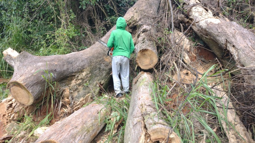 1° AGRO GUAÇUÍ 1° AGRO GUAÇUÍ