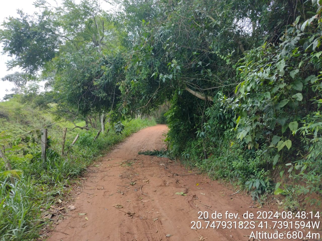 ESTRADAS SEGURAS: SECRETARIA DE AGRICULTURA REALIZA RETIRADA DE VEGETAÇÃO PARA PREVENIR OBSTRUÇÕES ESTRADAS SEGURAS: SECRETARIA DE AGRICULTURA REALIZA RETIRADA DE VEGETAÇÃO PARA PREVENIR OBSTRUÇÕES