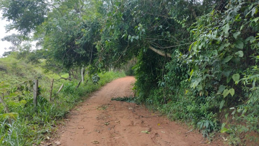 1° AGRO GUAÇUÍ 1° AGRO GUAÇUÍ