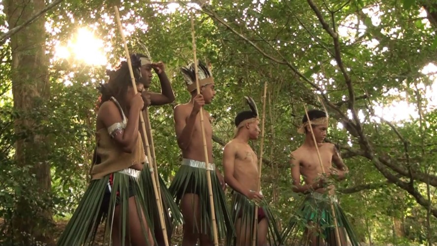 PORTAL REFLORESTAR PORTAL REFLORESTAR