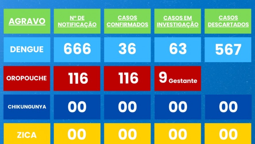 BOLETIM EPIDEMIOLÓGICO 29/12/2024 a 13/09/2025 BOLETIM EPIDEMIOLÓGICO 29/12/2024 a 13/09/2025