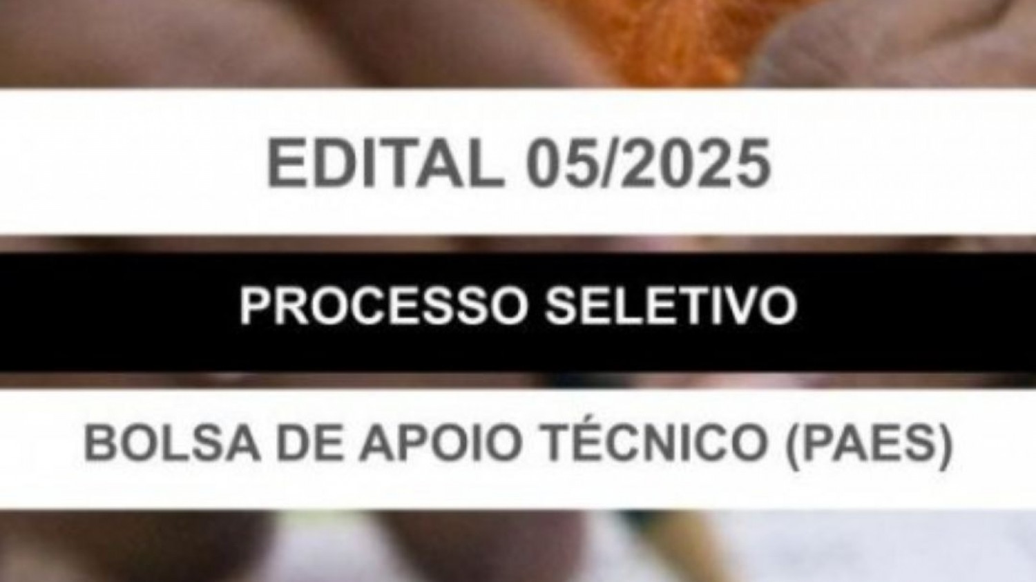 PREFEITURA DE GUAÇUÍ ABRE PROCESSO SELETIVO PARA BANCO DE BOLSISTAS DO PROGRAMA PAES PREFEITURA DE GUAÇUÍ ABRE PROCESSO SELETIVO PARA BANCO DE BOLSISTAS DO PROGRAMA PAES
