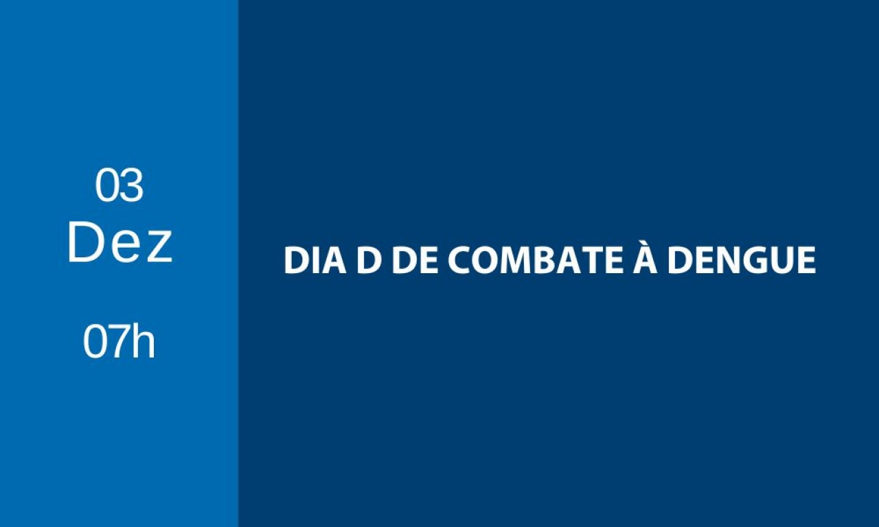DIA D DE COMBATE À DENGUE DIA D DE COMBATE À DENGUE